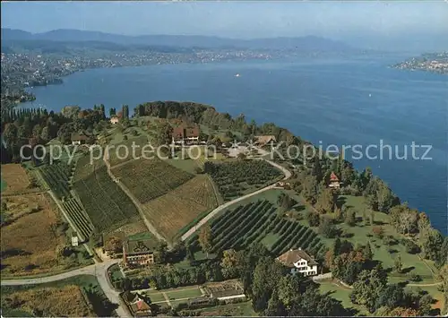 Au ZH Fliegeraufnahme Landgasthof am Zuerichsee Halbinsel / Au ZH /Bz. Horgen