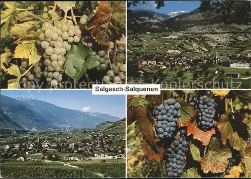 Salgesch Panorama Weintrauben weiss und rot Kat. Salgesch