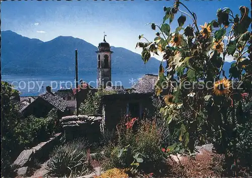 Brione Lago Maggiore Teilansicht Kat. Brione sopra Minusio