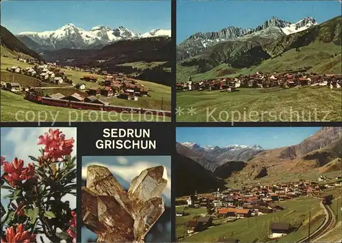 Sedrun Grischun Camischolas Piz Muraun Culmatsch Alpenrosen Bergkristall Oberalp Pass Kat. Sedrun