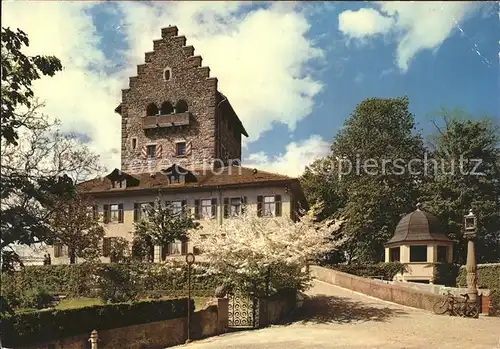 Uster ZH Schloss Uster / Uster /Bz. Uster