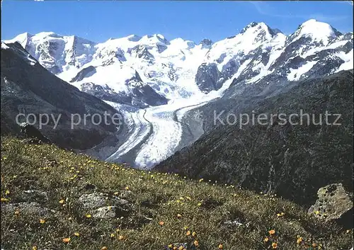 Pontresina Blick von der Paradishuette auf Berninagruppe und Morteratschgletscher Kat. Pontresina