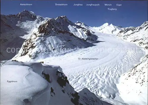 Aletschgletscher mit Walliser Alpen Kat. Aletsch Grosser
