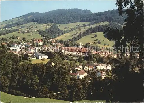 Lichtensteig Panorama Kat. Lichtensteig