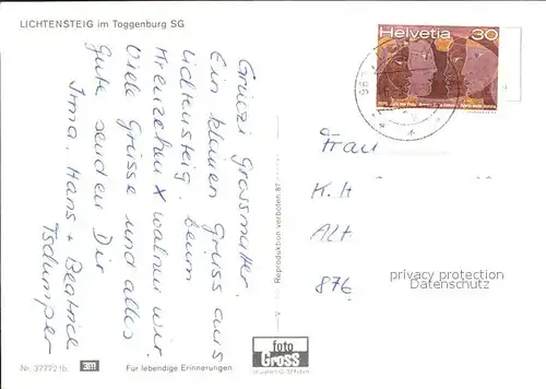 Lichtensteig Panorama Kat. Lichtensteig