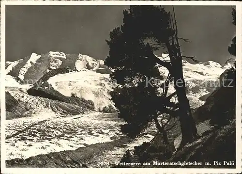 Morteratschgletscher Piz Palue Kat. Morteratsch