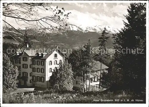 Vitznau Hotel Grubisbalm Kat. Vitznau