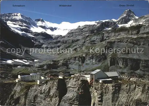 Gemmipass Wallis Schneehorn Wildstrubel Gross Strubel Leukerbad Kandersteg Kat. Gemmipass