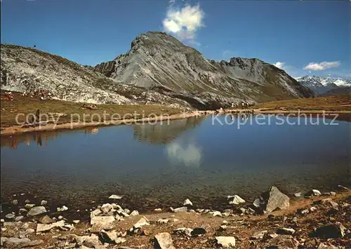 Strelapass Seeli Schiahoerner Kat. Strelapass