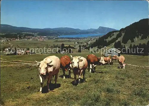 Le Sentier Vallee de Joux Kuehe Kat. Le Sentier