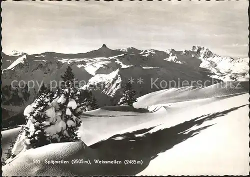 Tannenbodenalp Spitzmeilen Weissmeilen Kat. Tannenbodenalp