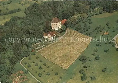 Gelfingen Schloss Heidegg Fliegeraufnahme Kat. Gelfingen