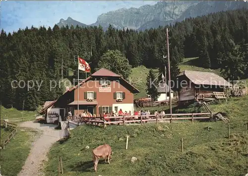 Eigenthal Alpwirtschaft Unterlauelen Kuh Kat. Eigenthal