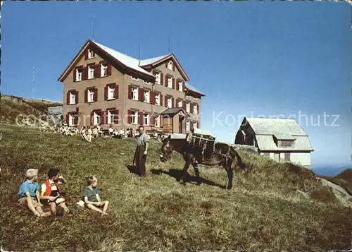 Bruelisau Berggasthaus Hoher Kasten Kinder Pferd Kat. Bruelisau