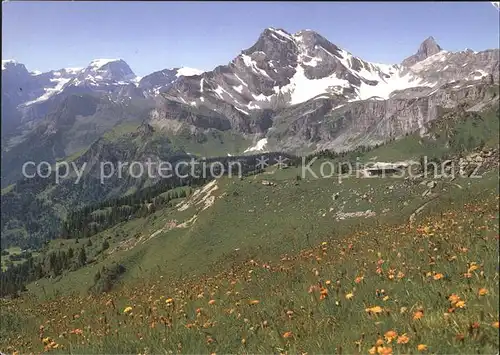 Braunwald GL Blick vom Gumen auf Toedi Ortstock Kat. Braunwald