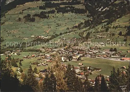 Lenk Simmental Totalansicht Kat. Lenk Simmental