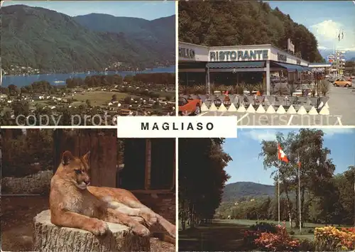 Magliaso Lago di Lugano Puma Ristorante Autop Golfplatz Kat. Magliaso