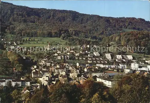 Langnau Albis Gesamtansicht Kat. Langnau Albis