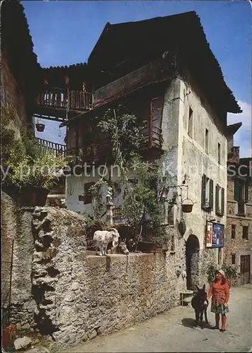 Carona Il Ticino pittoresco Maedchen mit Esel und Ziege Kat. Carona