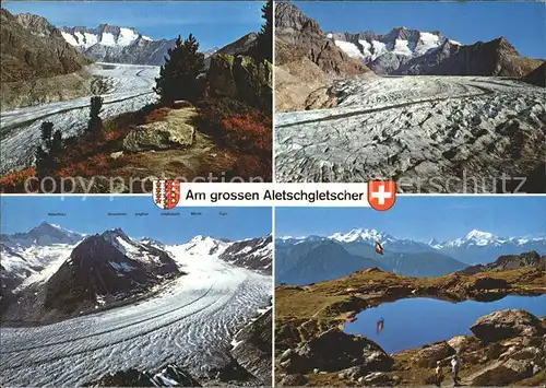Aletschgletscher Aletschwald Jungfraugebiet Gletscher Blausee Kat. Aletsch Grosser