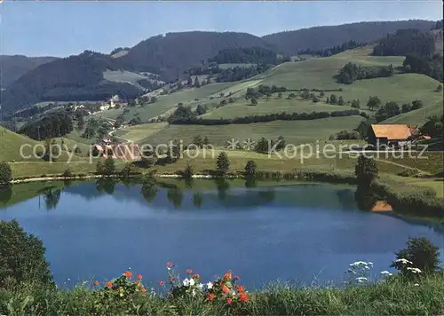 Finstersee Panorama Kat. Finstersee