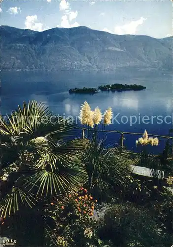 Ronco TI Isola di Brissago Lago Maggiore Kat. Ronco