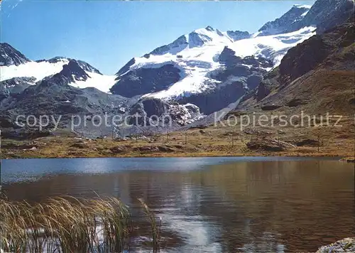 Bernina Berninagruppe mit Berninasee Kat. Bernina