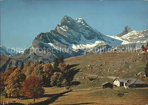 Braunwald GL Braunwaldalp mit Clariden Ortstock Hoher Turm Kat. Braunwald