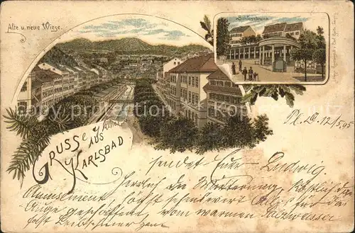 Karlsbad Eger Kuenstlerkarte Alte und neue Wiese  / Karlovy Vary /