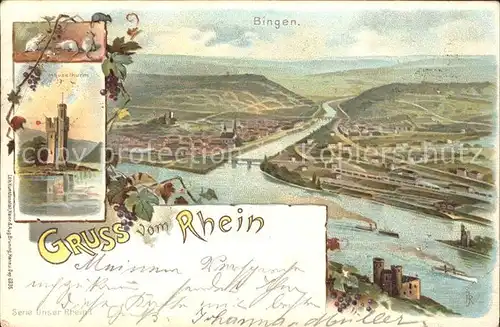 Bingen Rhein Nahemuendung Maeuseturm Weinreben Kat. Bingen am Rhein