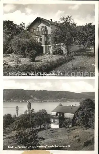 Ludwigshafen Bodensee Pension Haus Hedwig Seeblick Kat. Bodman Ludwigshafen