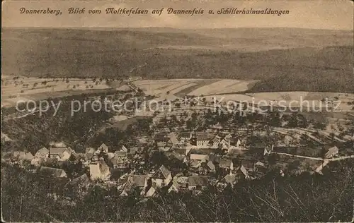 Dannenfels Donnersberg Panorama Blick vom Moltkefelsen Schillerhainwaldungen Kat. Dannenfels