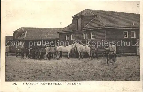 Ludwigswinkel Camp Les Ecuries Pferde Kat. Ludwigswinkel