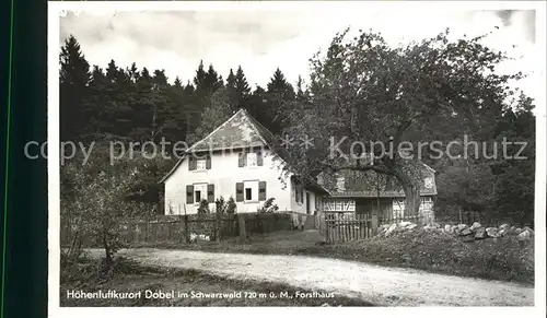 Dobel Schwarzwald Forsthaus Hoehenluftkurort Wintersportplatz Kat. Dobel