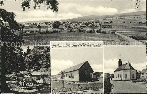 Bruchweiler Birkenfeld Panorama Kirche Rehe Kat. Bruchweiler