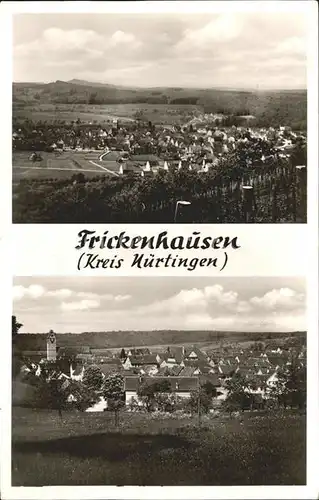 Frickenhausen Wuerttemberg Panorama Kat. Frickenhausen