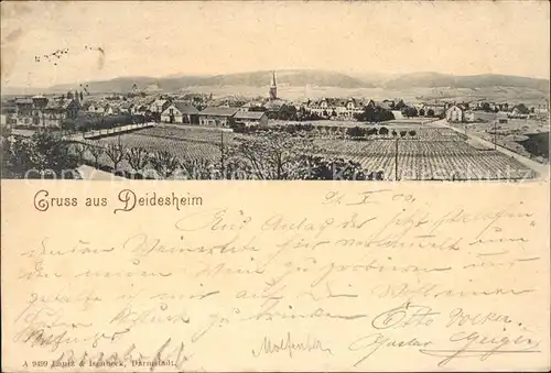 Deidesheim Panorama Kat. Deidesheim