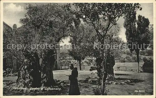 Jerusalem Yerushalayim Garden of Gethsemane Kat. Israel