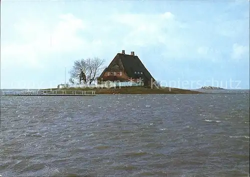 Hallig Hooge Kirchwarft bei Landunter Kat. Hooge