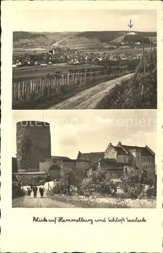 Hammelburg mit Schloss Saaleck Kat. Hammelburg