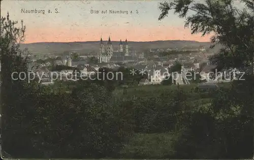 Naumburg Saale Stadtblick Kat. Naumburg