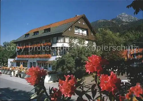 Bayrischzell Hotel Alpenrose Sommerblumen Kat. Bayrischzell