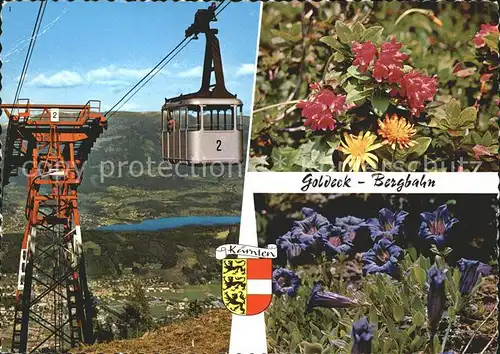Spittal Drau Goldeck Bergbahn Millstaettersee Alpenflora Wappen Kat. Spittal an der Drau