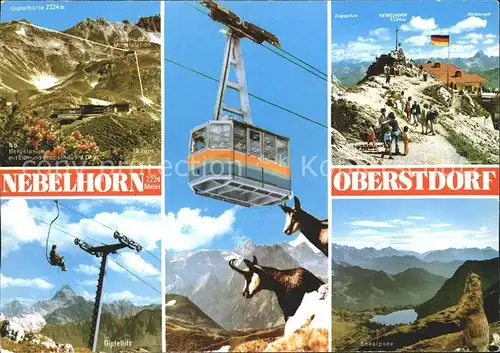 Oberstdorf Nebelhorn Bergbahn Bergstation Gemsen Seealpsee Murmeltier Alpenpanorama Kat. Oberstdorf