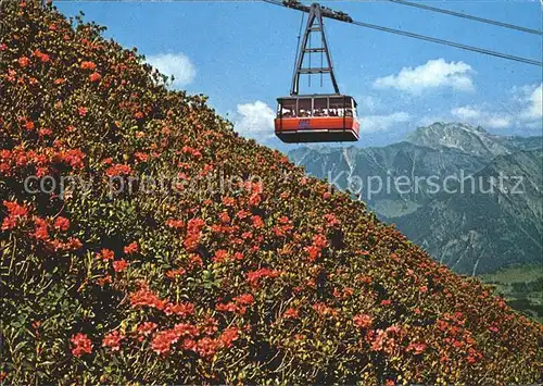 Oberstdorf Fellhornbahn mit Blick zum Nebelhorn Alpenflora Kat. Oberstdorf