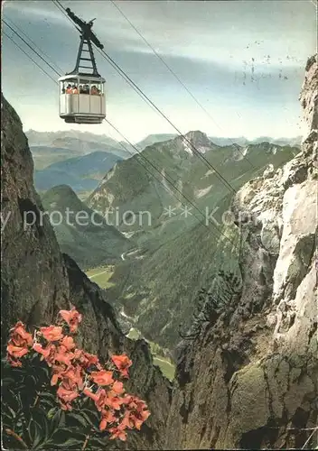 Ruhpolding Rauschbergbahn Alpenflora Alpenpanorama Kat. Ruhpolding