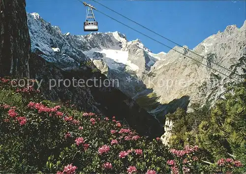 Garmisch Partenkirchen Osterfelderbahn der Alpspitzbahnen gegen Hoellental Ferner Alpenflora Kat. Garmisch Partenkirchen