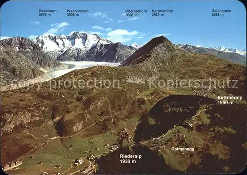 Aletschgletscher Fliegeraufnahme Gabelhorn Wannenhorn Oberaarhorn Bettmerhorn Galenstock  Kat. Aletsch Grosser