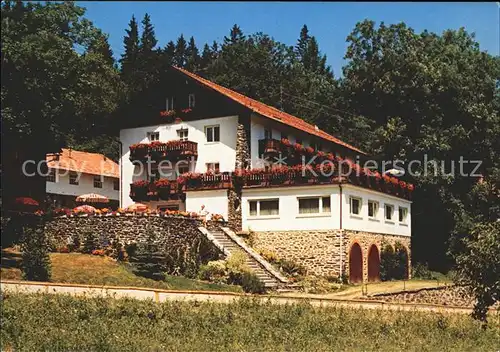 Neukirchen Heilig Blut Gasthof Pension Waldschloessli Kat. Neukirchen b.Hl.Blut