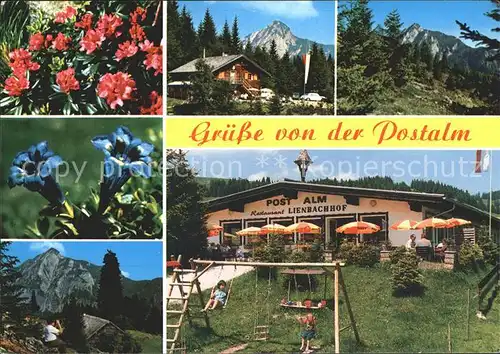 Bad Ischl Salzkammergut Postalm Restaurant Lienbachhof Kat. Bad Ischl